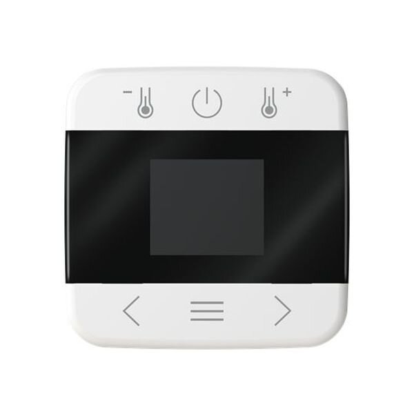 Busch-Jaeger Zentralscheibe mit Display Bluetooth