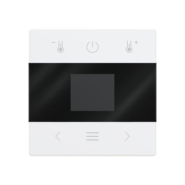 Busch-Jaeger Zentralscheibe mit Display Bluetooth