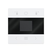 Busch-Jaeger Zentralscheibe mit Display Bluetooth