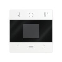 Busch-Jaeger Zentralscheibe mit Display Bluetooth