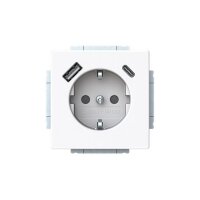 Busch-Jaeger USB-Steckdose SCHUKO 20 EUCB2USBAC-84 A+C
