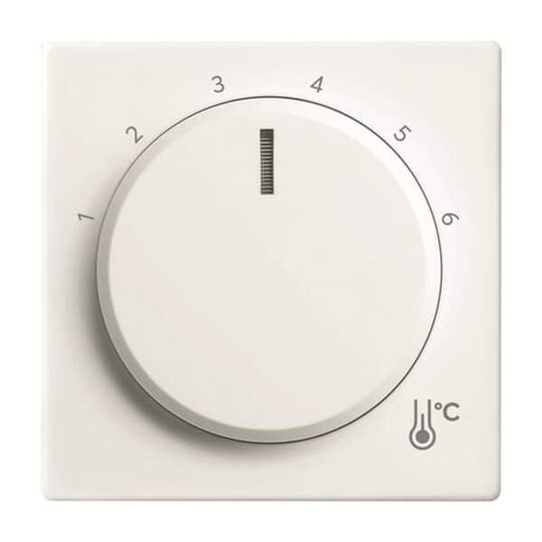 Busch-Jaeger Zentralscheibe 1794 R-84 Temperatur rund