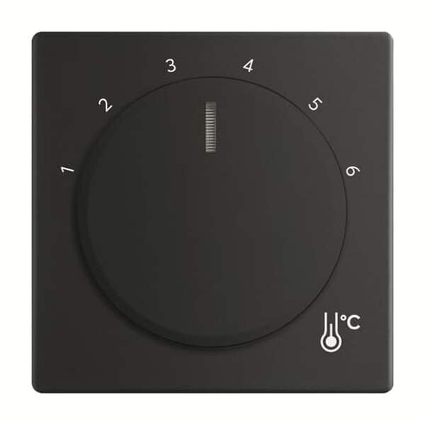 Busch-Jaeger Zentralscheibe 1794 R-885 Temperatur rund