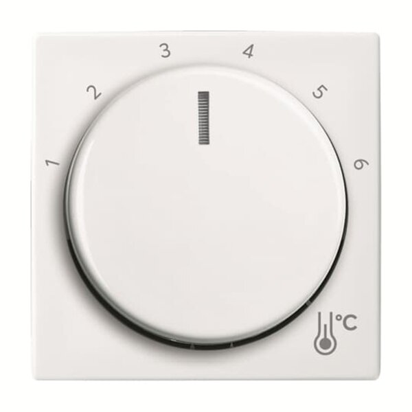 Busch-Jaeger Zentralscheibe 1794 R-914 Temperatur rund