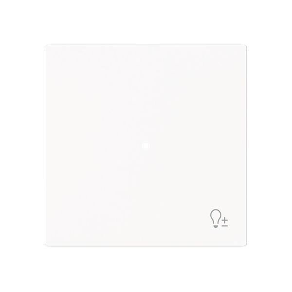 Busch-Jaeger Wippe 6234-10-44M 1-f.m.Symbol Dimmer