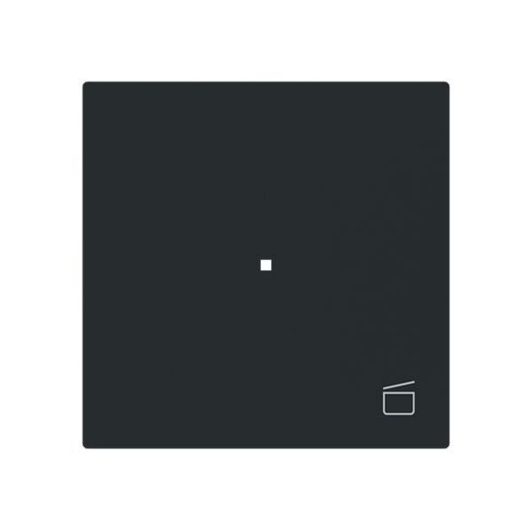 Busch-Jaeger Wippe 6233-10-45M 1-f.m.Symbol Szene