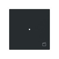 Busch-Jaeger Wippe 6233-10-45M 1-f.m.Symbol Szene