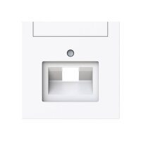 Busch-Jaeger Zentralscheibe 1803-44G 1-f.UAE...