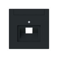 Busch-Jaeger Zentralscheibe 1803-45M 1-f.UAE...