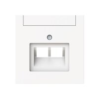 Busch-Jaeger Zentralscheibe 1803-02-44M 2-f.UAE...