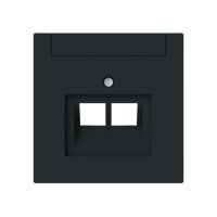 Busch-Jaeger Zentralscheibe 1803-02-45M 2-f.UAE...