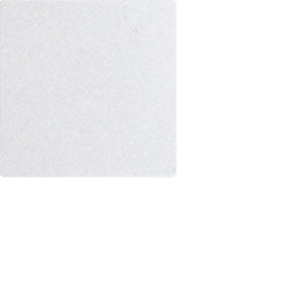 Eltako Wippe W-WT55E-am anthrazit matt