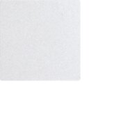 Eltako Wippe W-WT55E-am anthrazit matt