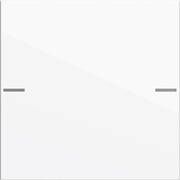 Gira Wippenset 575103 1f Tastsens.4 System 55 rws