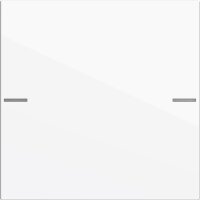 Gira Wippenset 575103 1f Tastsens.4 System 55 rws