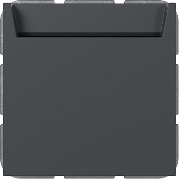 Gira Hotel Card Wechsler 314028 bel.BSF Sys.55 anthr