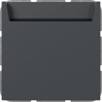 Gira Hotel Card Wechsler 314028 bel.BSF Sys.55 anthr