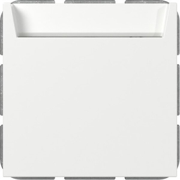 Gira Hotel Card Wechsler 314003 bel.BSF Sys.55 rws