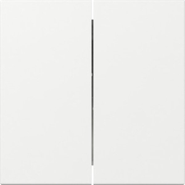 Gira Wippe 349503 2f gerade Sys.55 rws