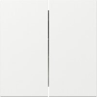 Gira Wippe 349503 2f gerade Sys.55 rws