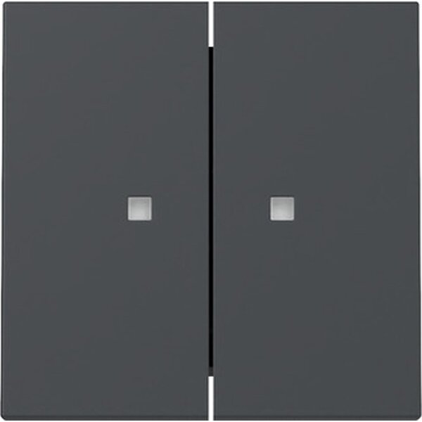 Gira Wippe 363128 2f Kontrollf.Sys.55 anthr