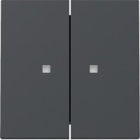 Gira Wippe 363128 2f Kontrollf.Sys.55 anthr