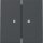 Gira Wippe 363128 2f Kontrollf.Sys.55 anthr