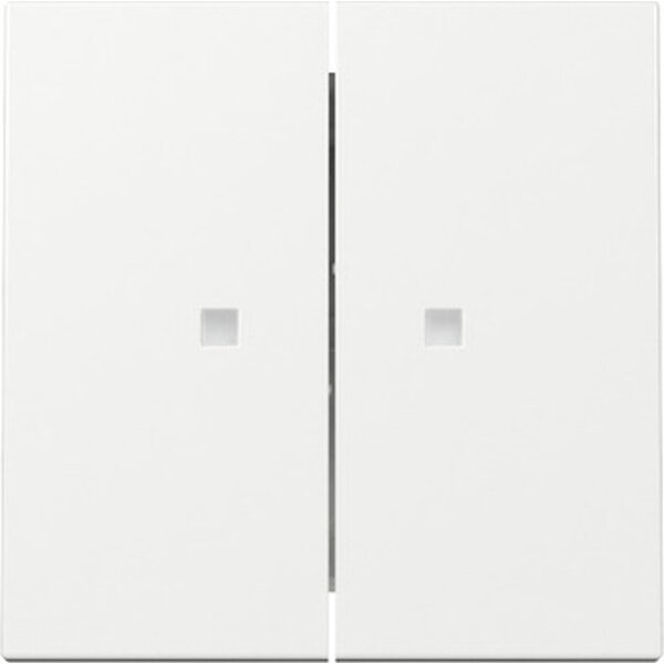 Gira Wippe 363103 2f Kontrollf.Sys.55 rws