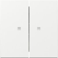 Gira Wippe 363103 2f Kontrollf.Sys.55 rws