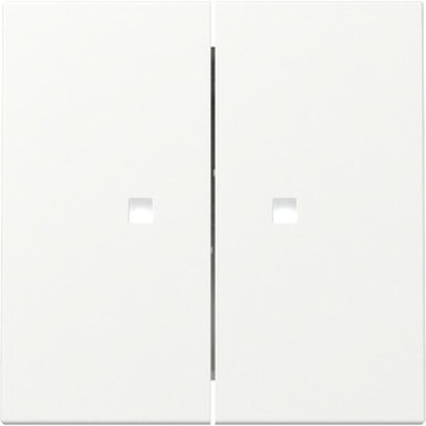 Gira Wippe 363127 2f Kontrollf.Sys.55 rws m