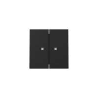 Gira Wippe 3631005 2f Kontrollf.Sys.55 sw m