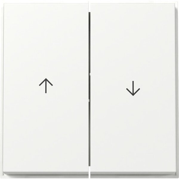 Gira Wippe 329466 2f Pfeil TX44 WG UP rws