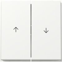 Gira Wippe 329466 2f Pfeil TX44 WG UP rws