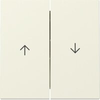 Gira Wippe 329401 2f Pfeil Sys.55 cws