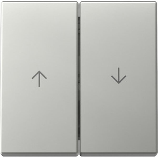 Gira Wippe 3294600 2f Pfeil Sys.55 es