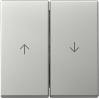 Gira Wippe 3294600 2f Pfeil Sys.55 es