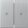 Gira Wippe 329426 2f Pfeil Sys.55 F Alu