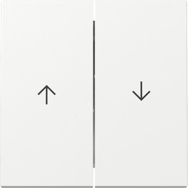 Gira Wippe 329403 2f Pfeil Sys.55 rws