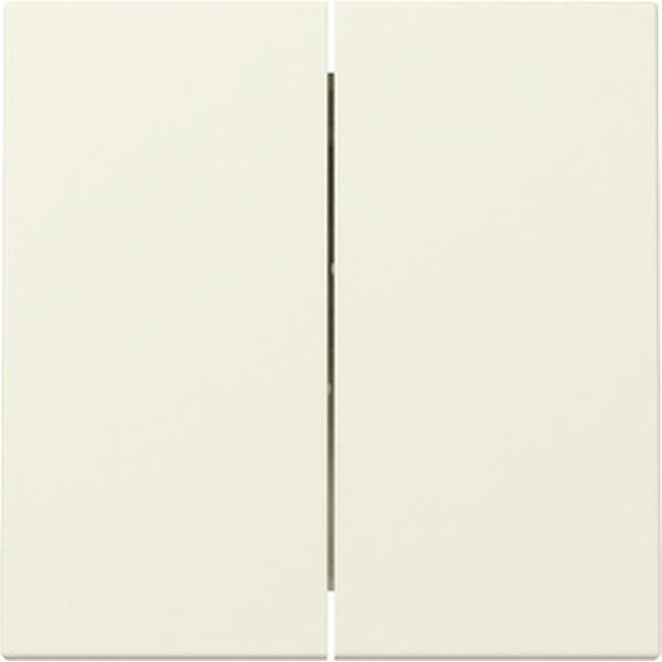 Gira Wippe 329501 2f Sys.55 cws