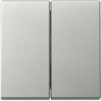 Gira Wippe 3295600 2f Sys.55 es