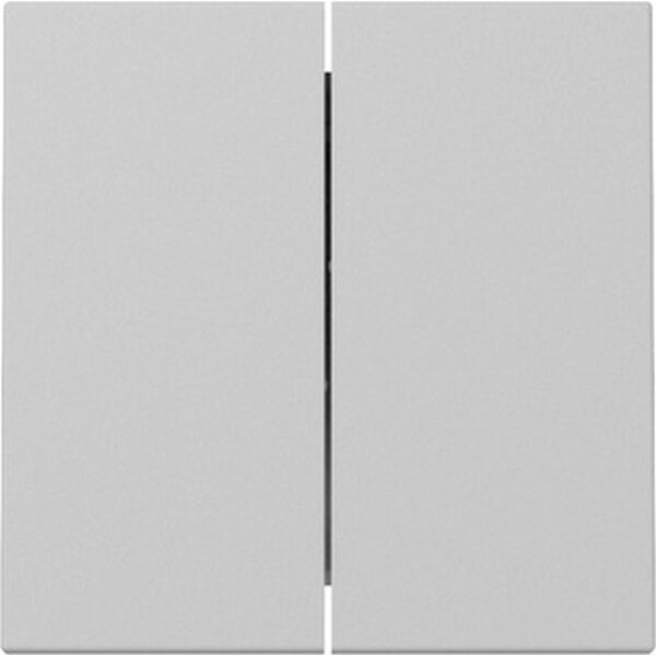 Gira Wippe 3295015 2f Sys.55 gr m