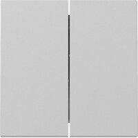 Gira Wippe 3295015 2f Sys.55 gr m