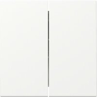 Gira Wippe 329527 2f Sys.55 rws m