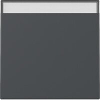 Gira Wippe 329928 BSF Sys.55 anthr