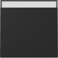 Gira Wippe 3299005 BSF Sys.55 sw m