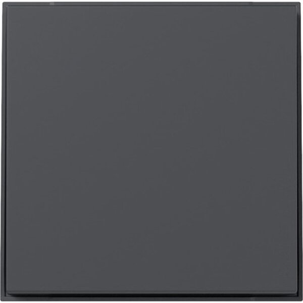 Gira Wippe 349667 gerade TX44 anthr