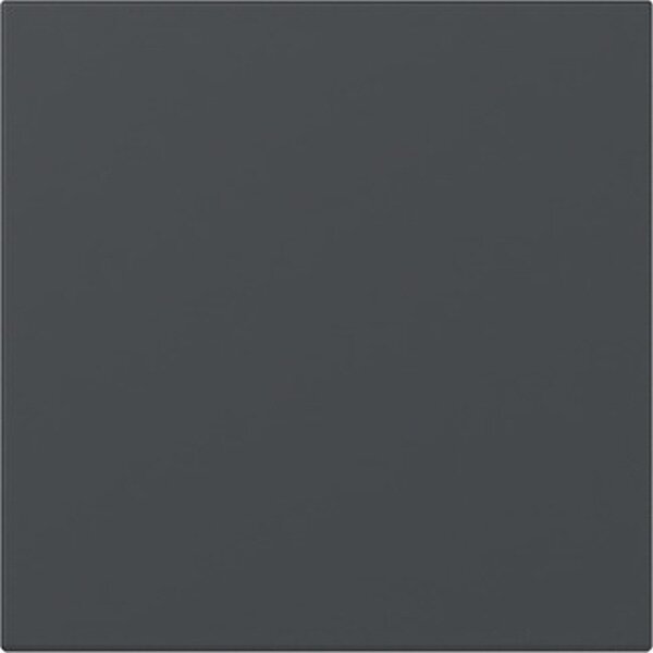 Gira Wippe 349628 gerade Kontrollf.Sys.55 anthr