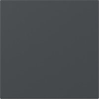 Gira Wippe 349628 gerade Kontrollf.Sys.55 anthr