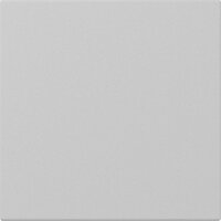 Gira Wippe 3496015 gerade Sys.55 gr m
