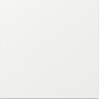 Gira Wippe 349603 gerade Sys.55 rws